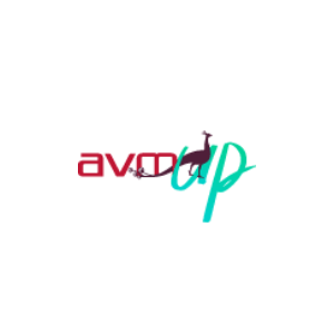 avm informatique logo